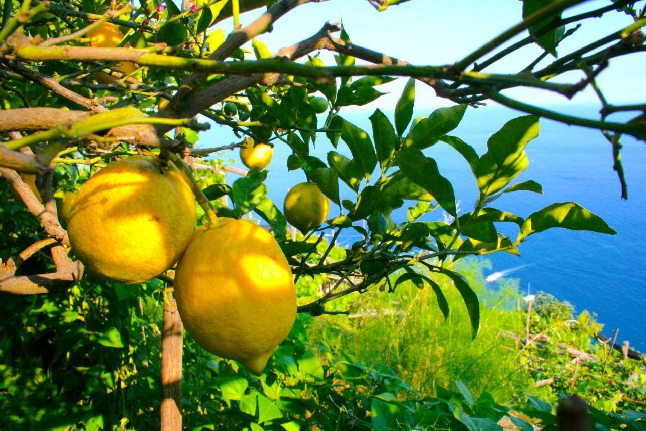 The Guardian Of Amalfi Βίλα Εξωτερικό φωτογραφία