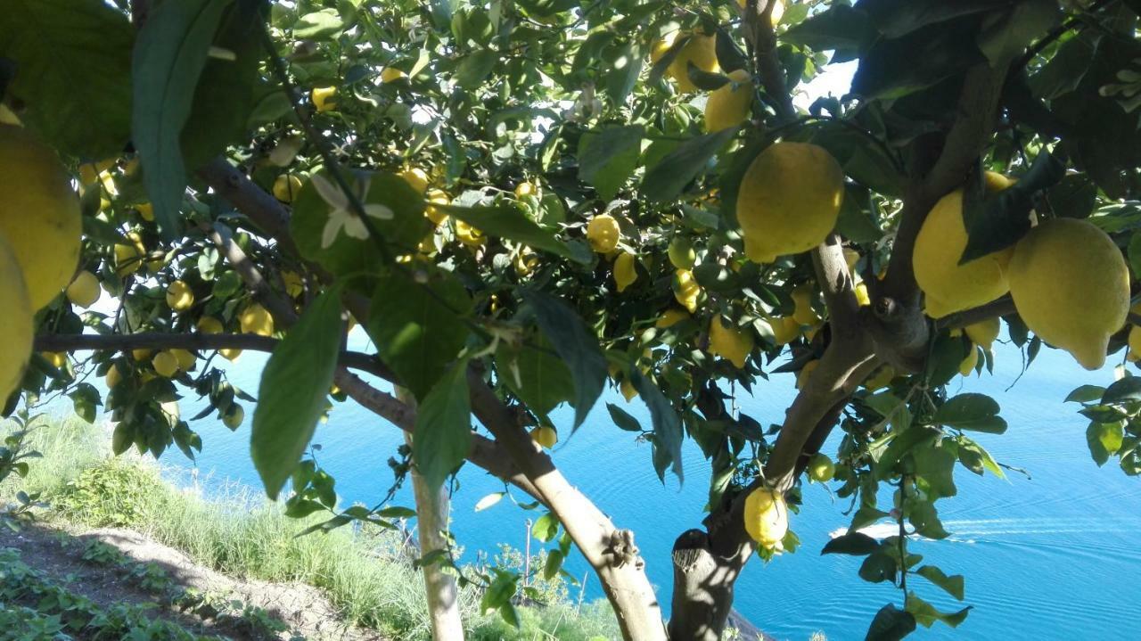 The Guardian Of Amalfi Βίλα Εξωτερικό φωτογραφία